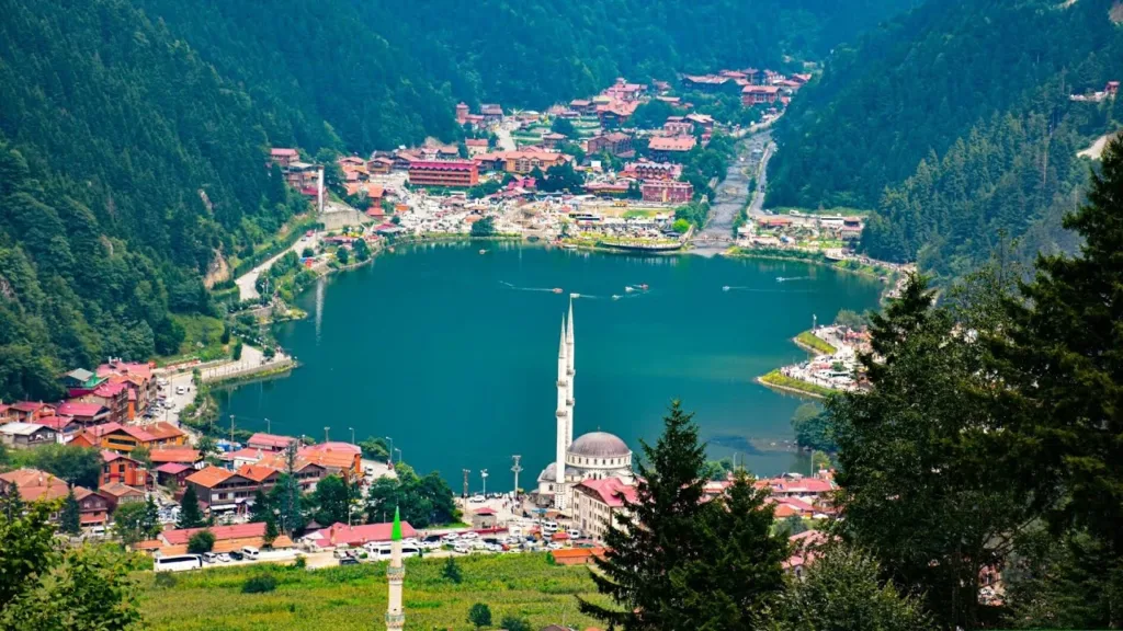 Trabzon Vakfıkebir Minibüs Seferleri