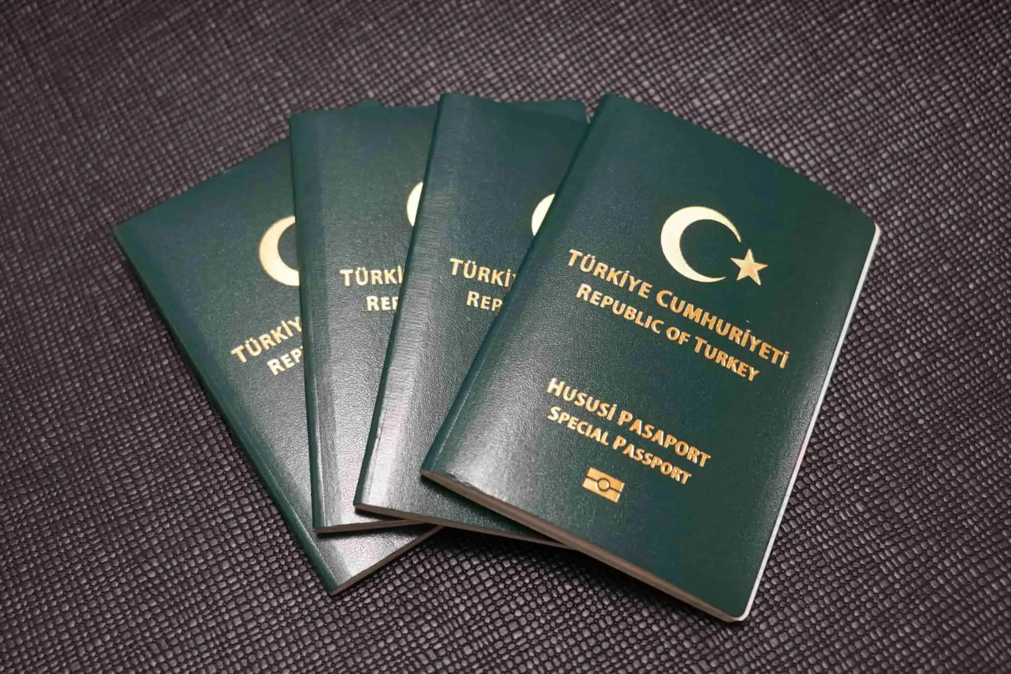 Yeşil Pasaport ile Bordo Pasaport Arası Farklar