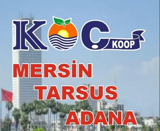 Adana Tarsus Minibüs Seferleri