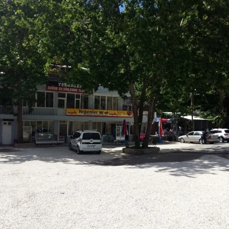 Yeğenler Soğuksu Dinlenme Tesisi fotoğraf 1